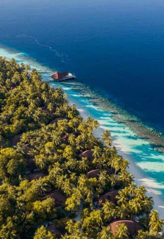 🌊☀️ ULTRA LAST MIUNTE - MALDIVE - CU ZBOR DIN BUCUREȘTI