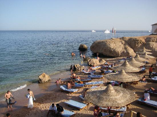 SHARM EL SHEIKH HOTEL  Amphoras Beach 5* AI AVION SI TAXE INCLUSE TARIF 822 EURO