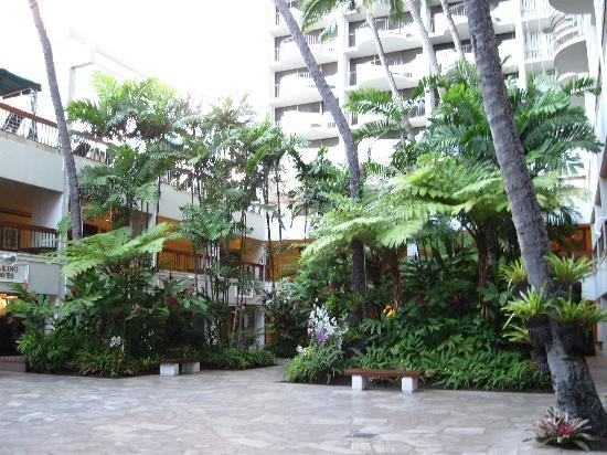  Courtyard By Marriott Resort & Spa
