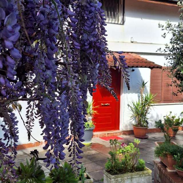 LAST MINUTE AMALFI COAST GIALLO LIMONE 3***  MIC DEJUN ZBOR DIN OTOPENI CU TAXE INCLUSE