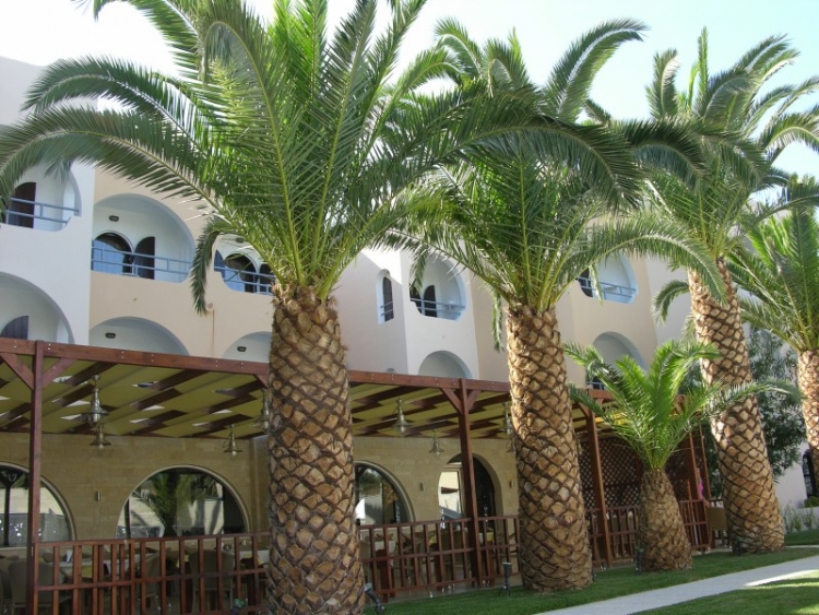 CRETA   Karteros Hotel 3* MIC DEJUN AVION SI TAXE INCLUSE TARIF 485 EUR