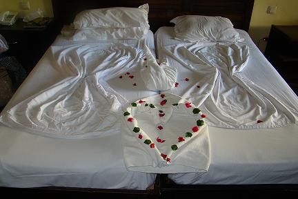  TUNISIA   Paradis Palace 4* AI AVION SI TAXE INCLUSE TARIF 769 EUR
