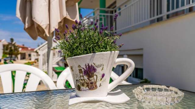  Sejur la plaja in Thassos la doar 230 euro!!!Menta Studios 