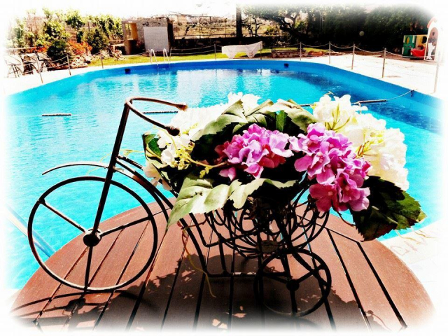 444 EURO - Last Minute Grecia - Insula Creta Hotel Roxani