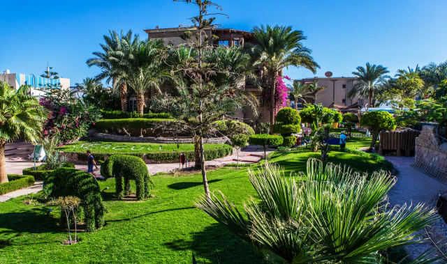 13.07 avion Bucuresti, Egipt Hurghada City, Seagull Beach Resort 559 EURO, 7 nopti, All inclusive