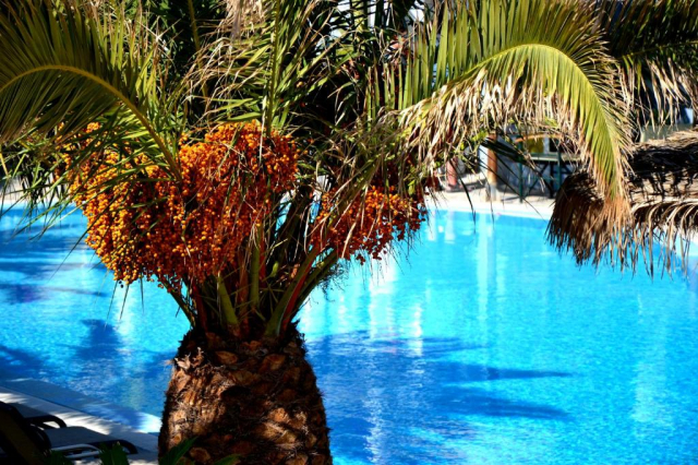 11.07 avion Bucuresti, Grecia Kamari, Zephyros Hotel 659 EURO, 7 nopti, Mic dejun inclus