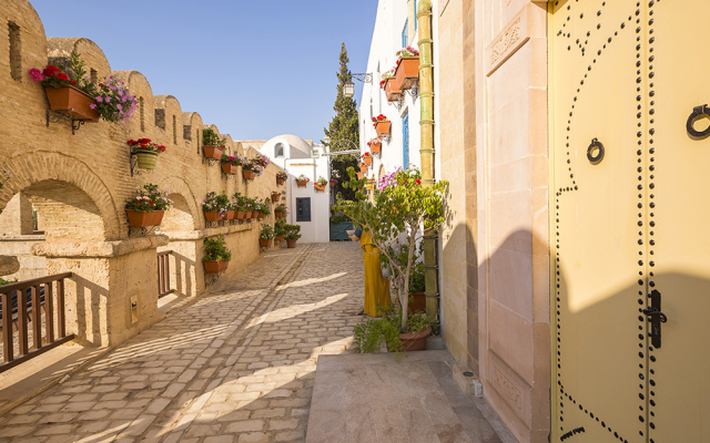 26.07 avion Bucuresti, Tunisia Hammamet, Diar Lemdina Hotel 849 EURO, 7 nopti, All inclusive
