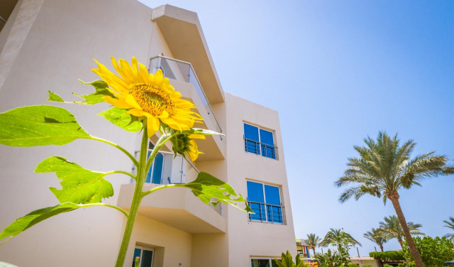 07.09 avion Bucuresti, Egipt Hurghada City, Seagull Beach Resort 596 EURO, 7 nopti, All inclusive