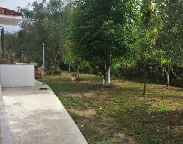 30.07 avion Bucuresti, Grecia Kavos, Captain's Studios Apartments 567 EURO, 7 nopti, Fara masa