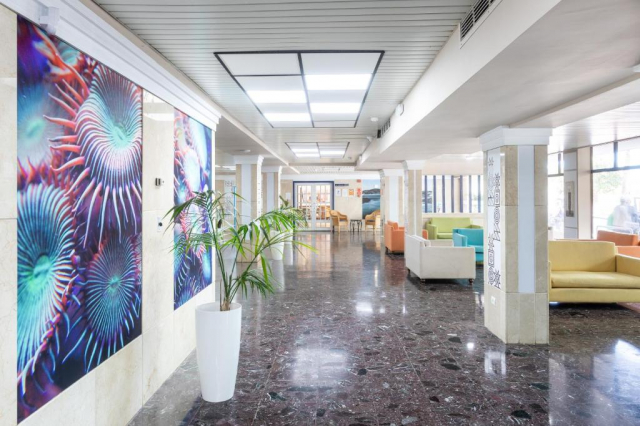 609 EURO - Last Minute Spania - Insula Tenerife HC Hotel Magec