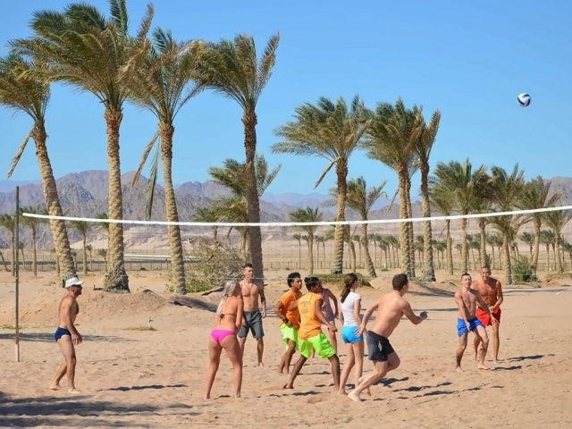477 EURO - Last Minute zbor din Bucuresti Egipt - Sharm El Sheikh Hotel Faraana Heights