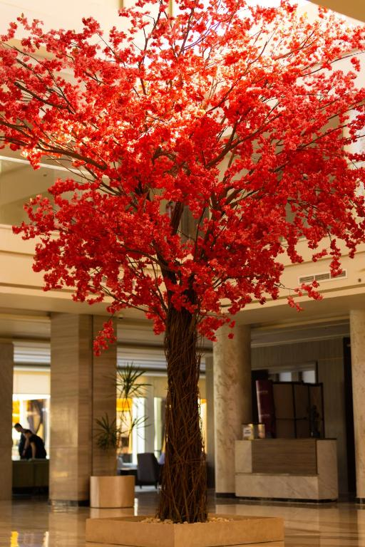 24.01 avion Timisoara, Egipt - Hurghada Safaga, Amarina Abu Soma Resort & Aquapark 479 EURO, 7 nopti, All inclusive