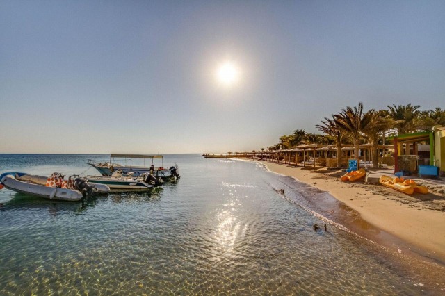 24.01 avion Timisoara, Egipt - Hurghada Hurghada City, Palm Beach Resort 332 EURO, 7 nopti, All inclusive