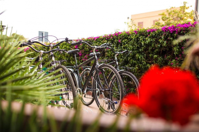 24.04 avion Bucuresti, Italia - Sardinia Alghero, Hotel Villa Piras 528 EURO, 7 nopti, Mic dejun inclus