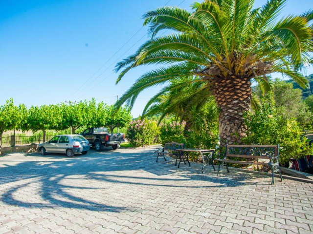 13.06 avion Bucuresti, Grecia - Kefalonia Skala, Eleni Studios Skala 479 EURO, 7 nopti, Fara masa