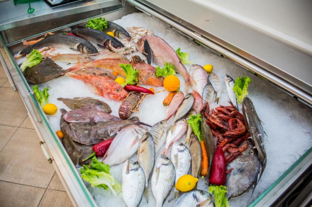 17.06 avion Bucuresti, Albania - Litoral Albania Durres, Vila Koral 528 EURO, 5 nopti, Mic dejun inclus