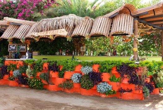 21.03 avion Timisoara, Egipt - Hurghada Hurghada City, Hotel Elysees Dream Beach 322 EURO, 7 nopti, Demipensiune inclusa