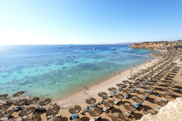 17.04 avion Bucuresti, Egipt - Regiunea Sharm el Sheikh Sharm El Sheikh, Reef Oasis Beach Resort 792 EURO, 7 nopti, All inclusive