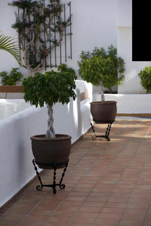 13.05 avion Bucuresti, Spania - Tenerife Los Cristianos, Beverly Hills 737 EURO, 7 nopti, Fara masa