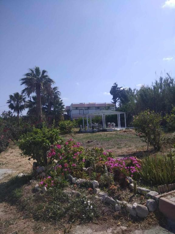 26.06 avion Bucuresti, Grecia - Creta - Heraklion Amoudara, Hotel Violetta 783 EURO, 7 nopti, Mic dejun inclus
