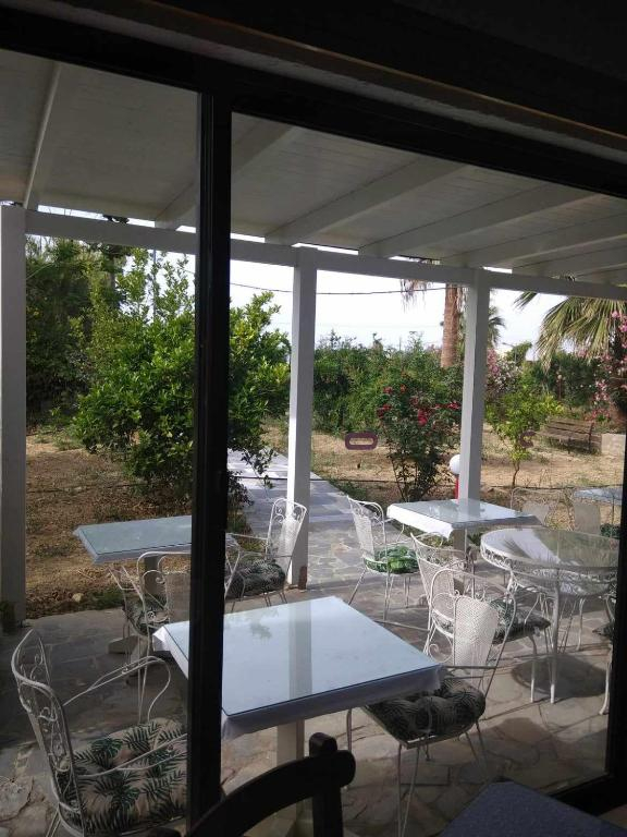 26.06 avion Bucuresti, Grecia - Creta - Heraklion Amoudara, Hotel Violetta 783 EURO, 7 nopti, Mic dejun inclus
