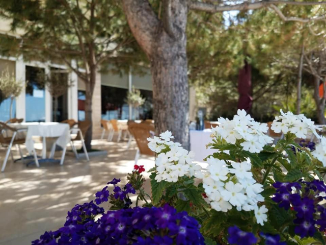 17.06 avion Cluj Napoca, Albania - Litoral Albania Durres, Hotel Edart 645 EURO, 7 nopti, Demipensiune inclusa