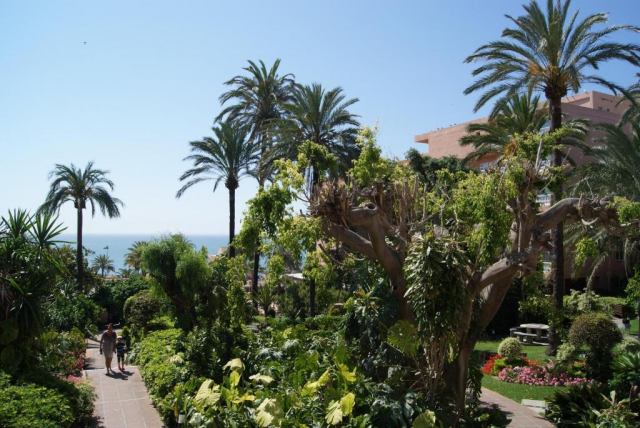 03.07 avion Bucuresti, Spania - Costa del Sol - Malaga Benalmadena, Hotel Best Siroco 1106 EURO, 7 nopti, Fara masa