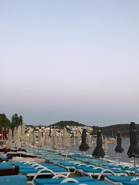 06.06 avion Bucuresti, Turcia - Regiunea Marea Egee Bodrum, Bitez Garden Life 596 EURO, 7 nopti, All inclusive