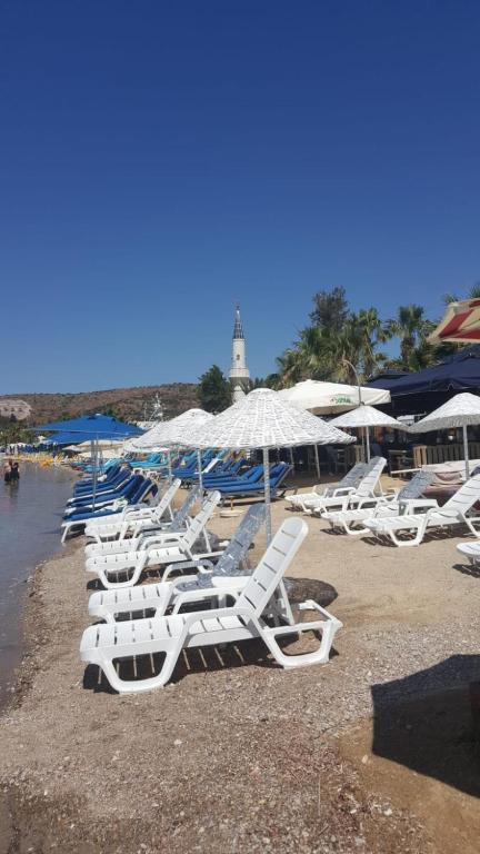 06.06 avion Bucuresti, Turcia - Regiunea Marea Egee Bodrum, Bitez Garden Life 596 EURO, 7 nopti, All inclusive