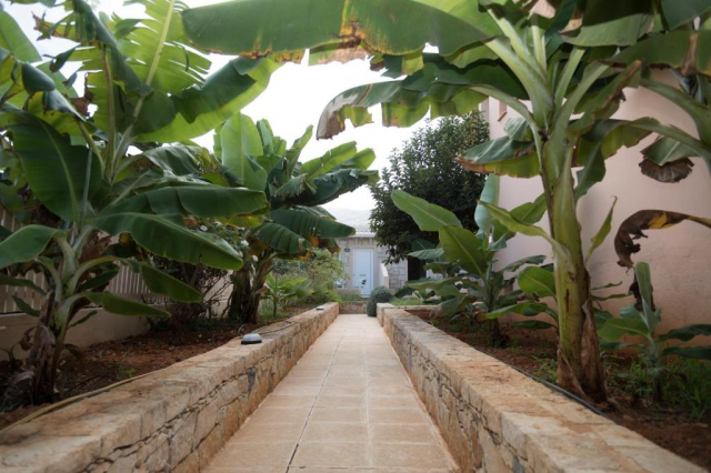 30.07 avion Bucuresti, Grecia - Creta - Heraklion Malia, Sunset Malia Studios & Apartments 636 EURO, 7 nopti, Fara masa