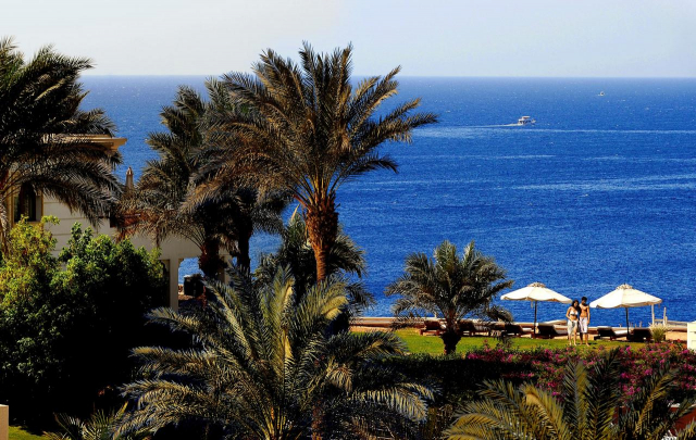 26.07 avion Bucuresti, Egipt - Regiunea Sharm el Sheikh Sharm El Sheikh, Reef Oasis Beach Resort 822 EURO, 7 nopti, All inclusive