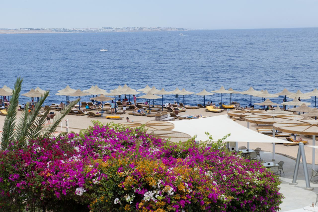 02.08 avion Bucuresti, Egipt - Regiunea Sharm el Sheikh Sharm El Sheikh, Amphoras Aqua Resort - Adult Only 12+ 567 EURO, 7 nopti, All inclusive