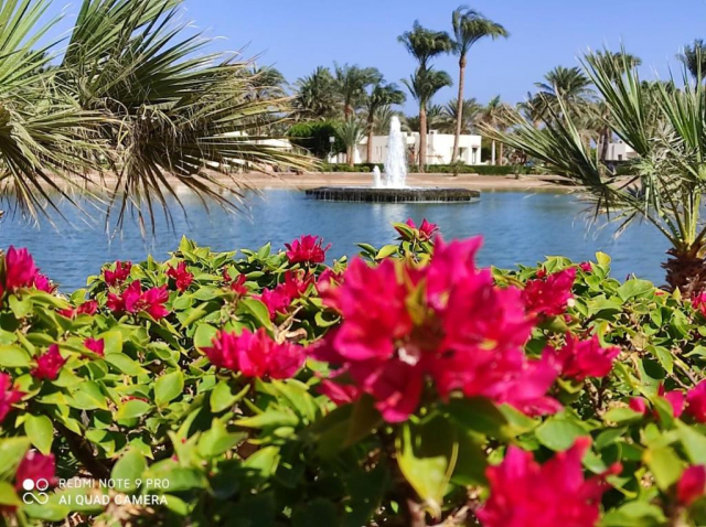 13.09 avion Bucuresti, Egipt - Hurghada Hurghada City, Pharaoh Azur Resort 636 EURO, 7 nopti, All inclusive