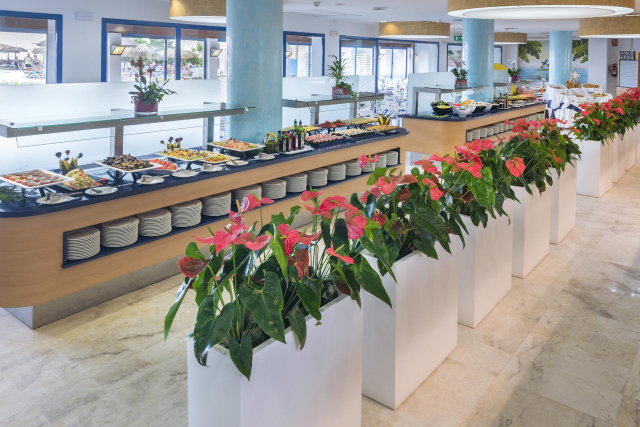 25.09 avion Bucuresti, Spania - Costa Brava - Barcelona Santa Susanna, Hotel Tahiti Playa 743 EURO, 7 nopti, Demipensiune inclusa