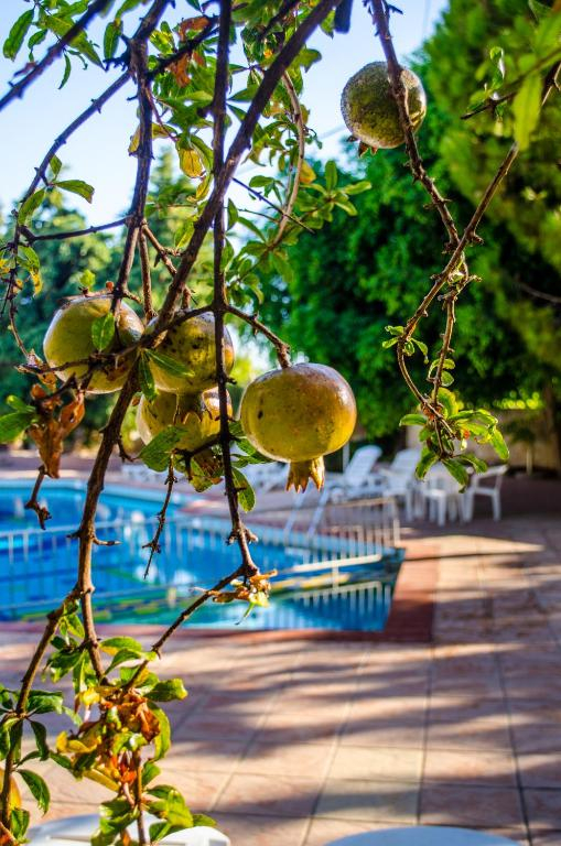 17.09 avion Bucuresti, Grecia - Creta - Heraklion Gouves, Hotel Your Memories 528 EURO, 7 nopti, Fara masa