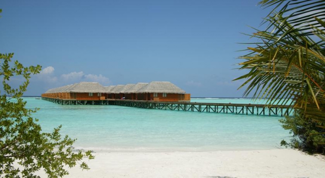 ULTRA  DELUXE  MALDIVE     MEERU ISLAND 4**** PENSIUNE COMPLETA    ZBOR DIN OTOPENI CU TAXE INCLUSE