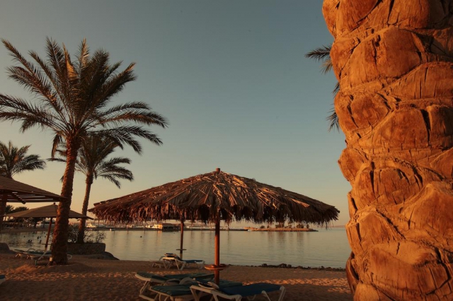 LAST MINUTE  EGIPT  7 NOPTI  5***** ALL INCLUSIVE CONTINENTAL  ZBOR CHARTER DIN OTOPENI  CU TAXE INCLUSE