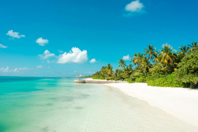 ULTRA LAST MINUTE MALDIVE  CANAREEF RESORT 4**** ALL INCLUSIVE ZBOR DIN OTOPENI CU TAXE INCLUSE