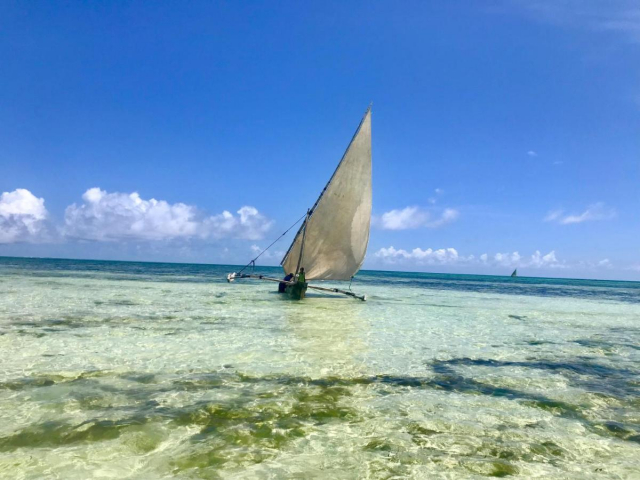 ULTRA LAST MINUTE  PE PLAJA IN ZANZIBAR 7 NOPTI  SHANUO BEACH  ZBOR DIRECT  DIN OTOPENI CU TAXE INCLUSE