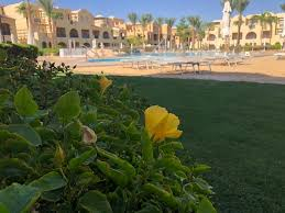 SUPER OFERTA EGIPT HURGHADA PLECARE IN 29.10 2024  STELLA  MAKADI  GARDENS  RESORT 5 * ALL INCLUSIVE PRET  631  EURO