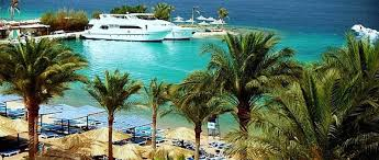 SUPER DEAL EGIPT HURGHADA PLECARE IN 12 SEPTEMBRIE 2024 HOTEL ZYA REGINA 4 * ALL INCLUSIVE PRET 377 EURO