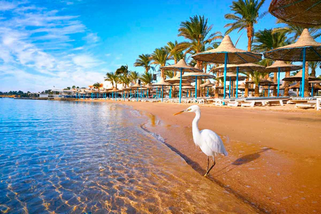 Ultimele locuri!!! Sejur la plaja in Hurghada la doar 486 euro,avion din Sibiu!!! King Tut Aqua Park Beach Resort