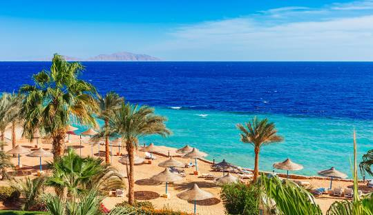 SUPER OFERTA!!!! SHARM EL SHEIKH, CU PLECARE DIN CLUJ-NAPOCA (CPI)