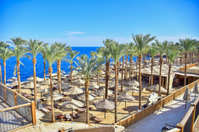 Sejur in Sharm El Sheikh: 430 euro cazare 7 nopti cu All inclusive+ transport avion+ toate taxele