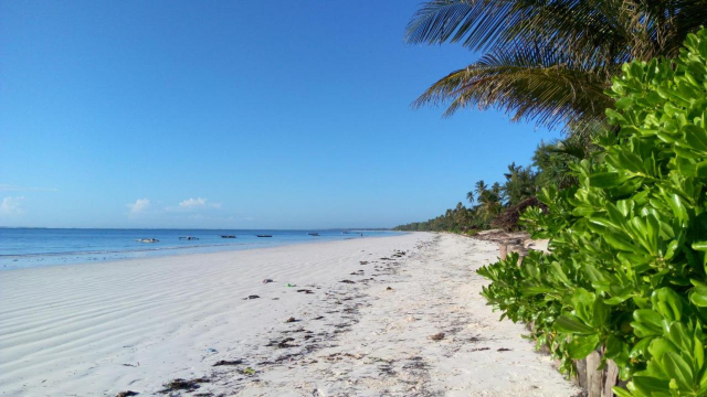 Last Minute Sejur in Zanzibar - Zanzibar Bahari Villas 