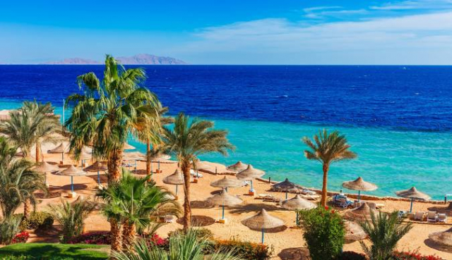 Super DEAL ! EGIPT - Sharm El Sheikh de REVELION  , plecare din Cluj Napoca ! ( vp) 