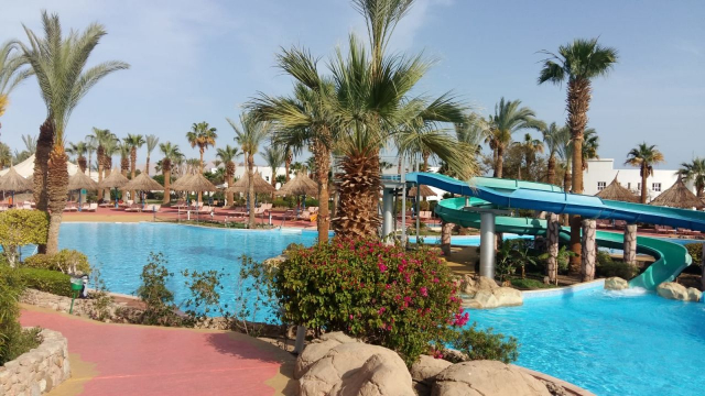 Sejur in Sharm El Sheikh: 490 euro cazare 7 nopti cu All inclusive+ transport avion+ toate taxele