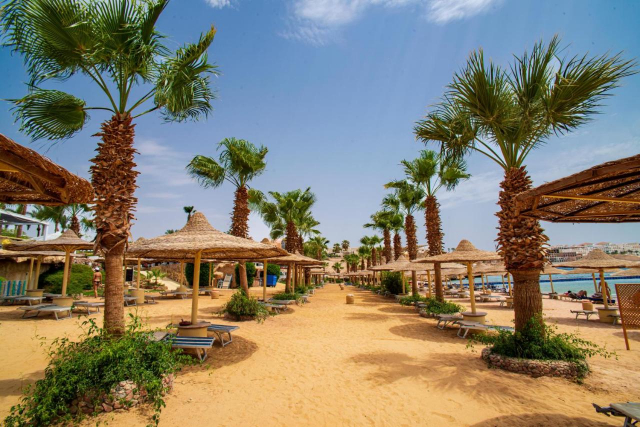 Sejur in Sharm El Sheikh: 625 euro cazare 7 nopti cu All inclusive+ transport avion+ toate taxele