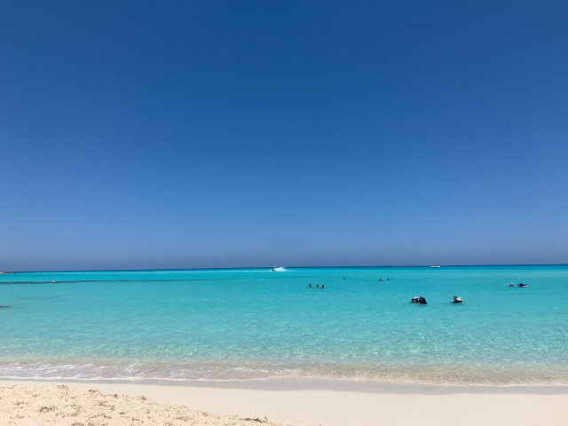  Ultimele locuri!!!Sejur la plaja in Hurghada la doar 549 euro,avion din Bucuresti!!!Albatros Dana Beach