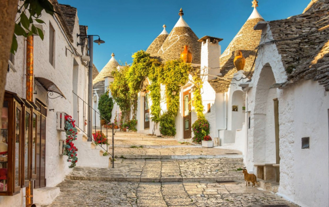 Senior Voyage Puglia, „tocul” Italiei si frumusetile sale 700 euro/pers plecare din Bucuresti 16.04 - Hotel Accord Le Rose 